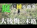 庭に絶対《植えてはいけない恐怖の植物》は…コレだ!!激安廃墟付き放置庭、1年後の末路。暑さに負けないグランドカバー大作戦!!