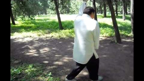 Liang BaGuaZhang Fixed 8 Palms Breakdown: 4th Palm