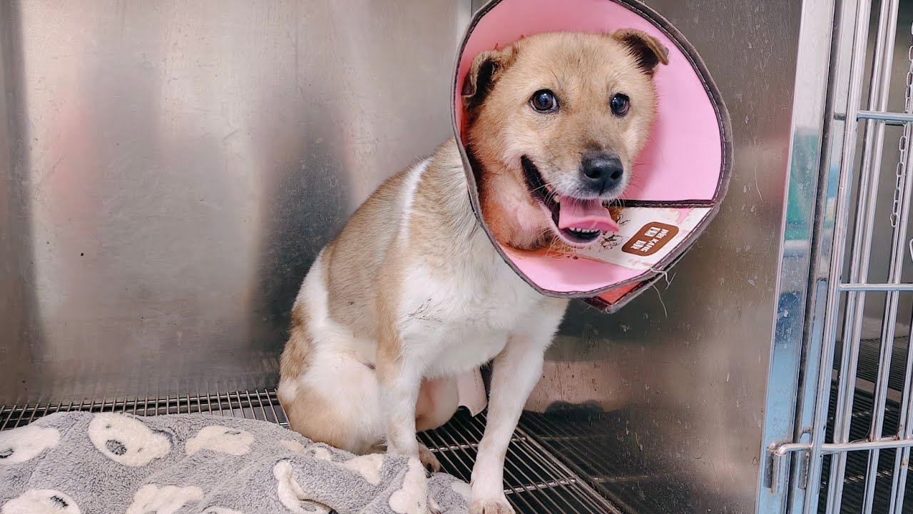 小花勇敢一点。你的身后还有很多爱你，喜欢你的人。