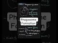 How the Cell Traps Pathogens (Phagosome Formation)