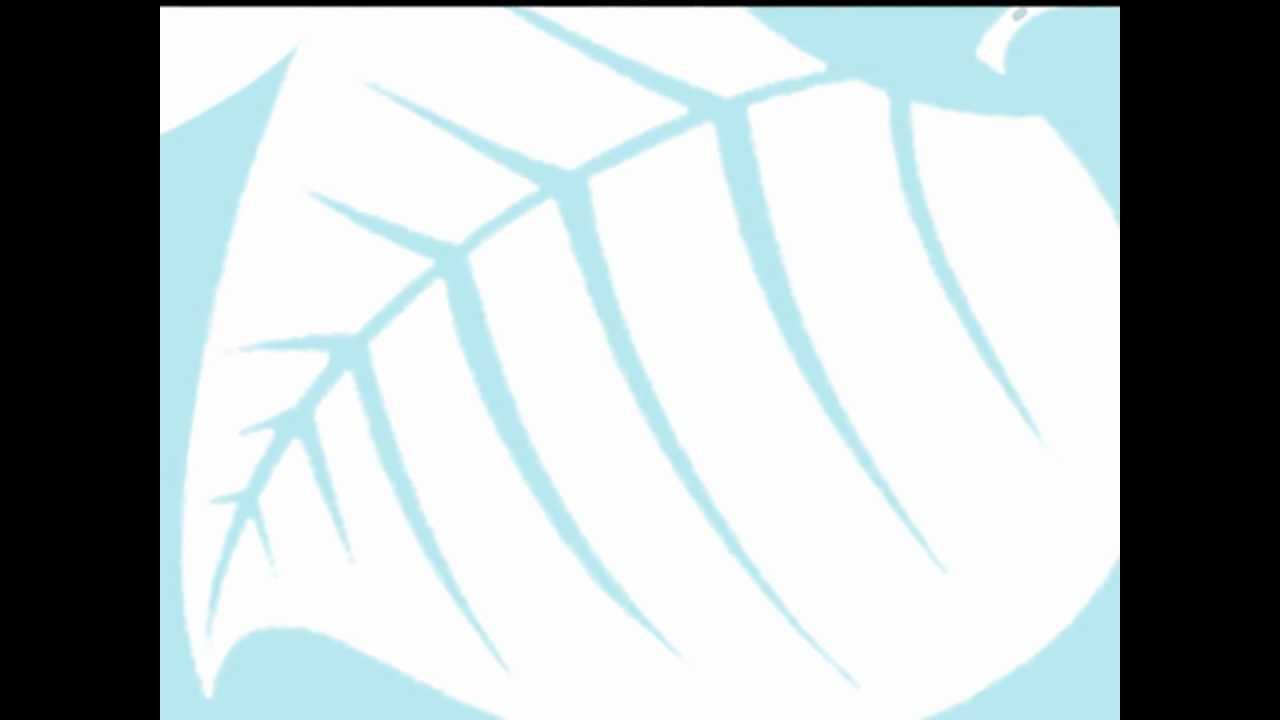 The Sounds of Brazil! radio/webstream