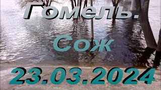 Гомель.  Сож. 23 03 2024