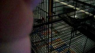 101_1057.MOV