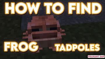 Tutorial Frogs And Tadpoles In Minecraft  1.19 - Prahant SMP!