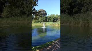 Lago no parque Aquilino Ribeiro em Viseu.