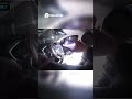 Police Wake Sleeping Driver In Illinois:  Intense Bodycam Footage