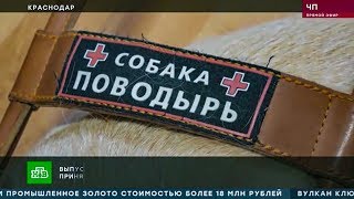 Краснодар. Девушку-инвалида Анастасию Блинову не берут на работу из-за собаки-поводыря Краснодар. Девушку-инвалида Анастасию Блинову не берут на работу из-за собаки-поводыря