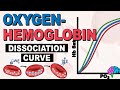 Understanding the Oxygen-Hemoglobin Dissociation Curve
