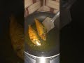 OMG😮গোটা মাছ ভাজা#shortvideo #subscribetomychannel #ilish