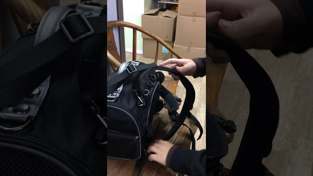 Custom Celltei Pet Carrier for a Gina, a 4 lbs Chihuahua in Hong Kong