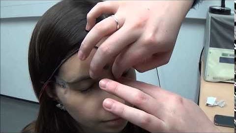 Setting up for and Recording Electroretinograms