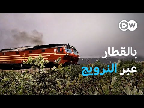 وثائقي النرويج رحلة قطار إلى القطب الشمالي وثائقية دي دبليو