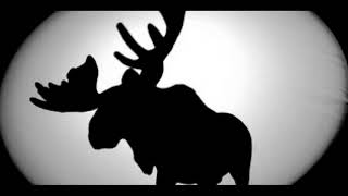 Second Date Update PODCAST: Moose on the Loose