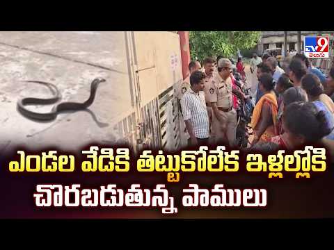 Snakes Entering Houses Due to Extreme Heat | ఎండల వేడికి తట్టుకోలేక ఇళ్లల్లోకి చొరబడుతున్న పాములు - TV9