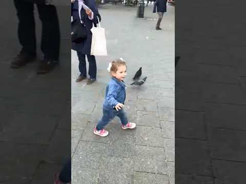 طيري طيري ياعصفورة Kids Sima Baby