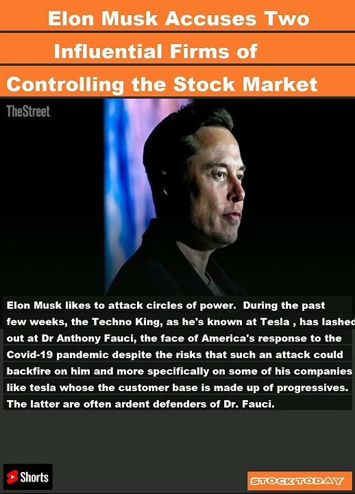 Elon Musk Accuses Two Influential Firms of Controlling the Stock Market