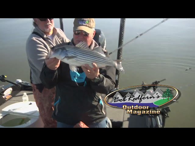 Lake Wateree Stripers  Bob Redfern's Magazine 