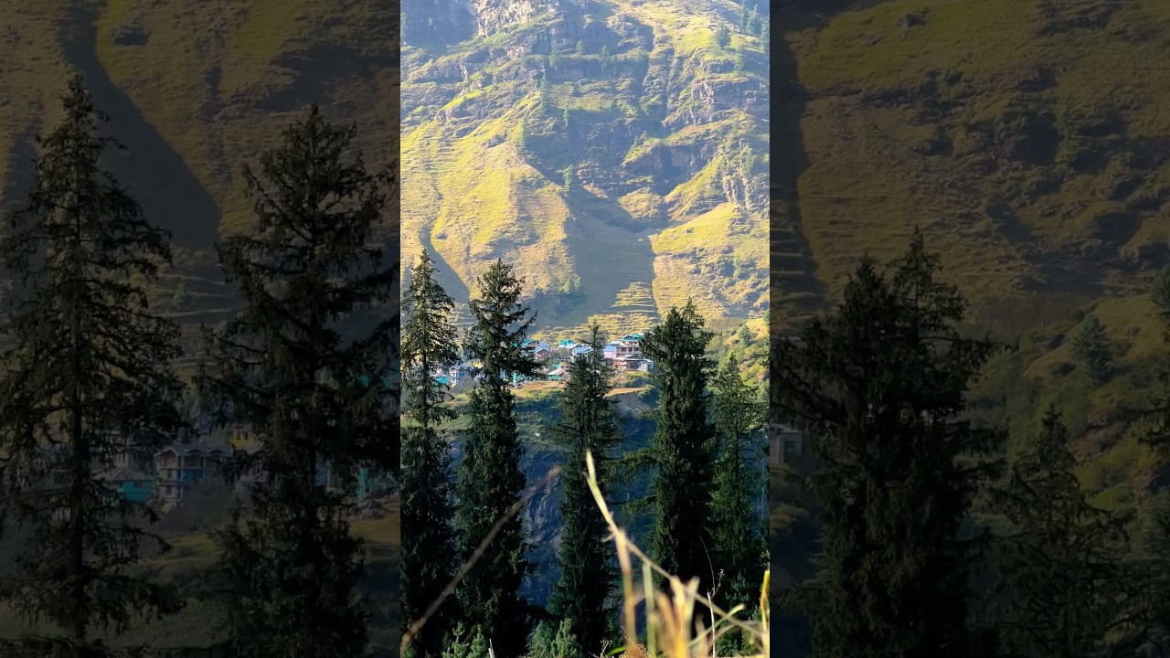 In the Lap of Nature 🏔️ 