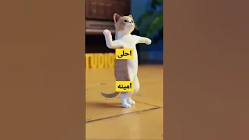 اهلا بك احلى امينه 