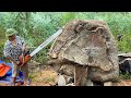 This Crazy Man Turns A Rare Giant Log Into A Giant Table / Woodworking Is Extremely Dangerous