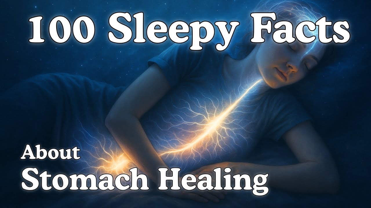 The Most Peaceful Science Facts About Stomach Healing and Digestive Harmony to Fall Asleep To