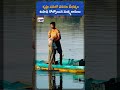 Krishna River Floods Leave 1,500 Fishermen Families Struggling for Survival | Fishery News Telugu