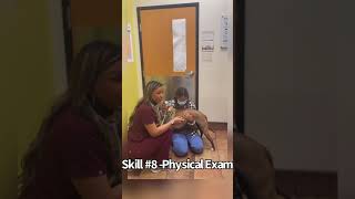 Skill #8 - Performing a Physical Exam (PF Vet Tech Program)