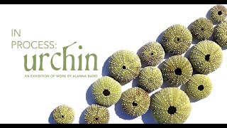 Virtual Exhibition Opening for In Process: Urchin by Alanna Baird