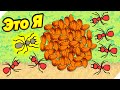 ЗАРОЖДЕНИЕ СМЕРТОНОСНОЙ КОЛОНИИ МУРАВЬЕВ! - Pocket Ants: Симулятор Колонии