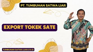 Export Tokek Sate | PT TUMBUHAN SATWA LIAR