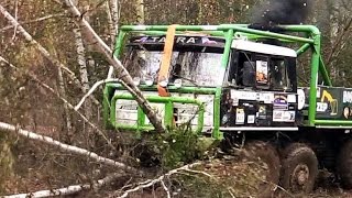 Extrem offroad - Truck demolition of trees