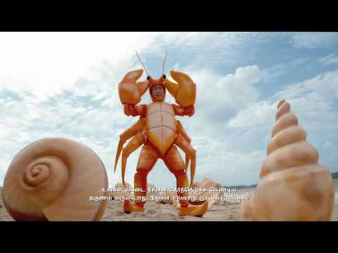 The Perfect Shell-ter (Tamil) retirement adequacy in the united states should we be concerned