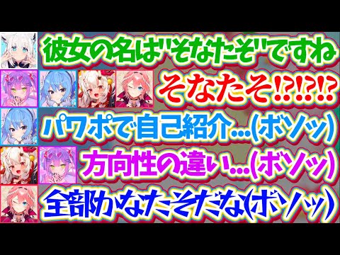 【ホロ謎解き部】謎解きRPGに登場するキャラクター"そなたそ"に"かなたそ"を重ね、メタ発言が止まらないホロメン達w【ホロライブ切り抜き/白上フブキ/星街すいせい/常闇トワ/百鬼あやめ/鷹嶺ルイ】