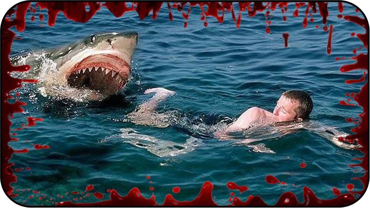 САМЫЕ СТРАШНЫЕ нападения АКУЛ на человека (часть №2)