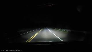Deer, crossing at night