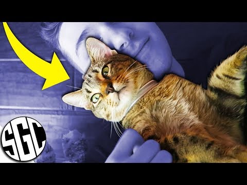 STEALING DUDE THE CAT!