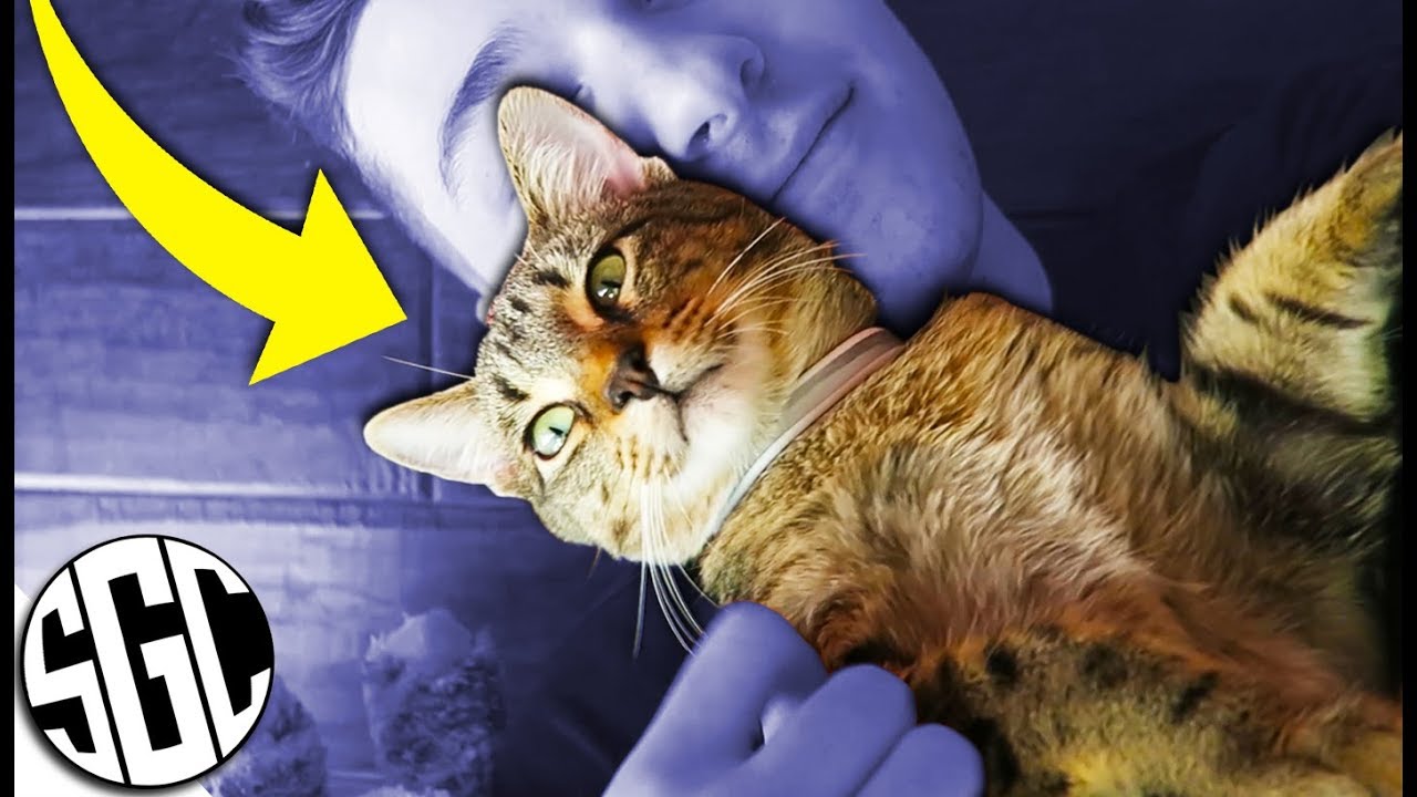 STEALING DUDE THE CAT!