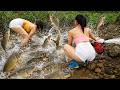 Teknologi Memancing : Menangkap ikan lele raksasa di kolam,ikan gabus, ikan hias,ikan koi,ikan mas.