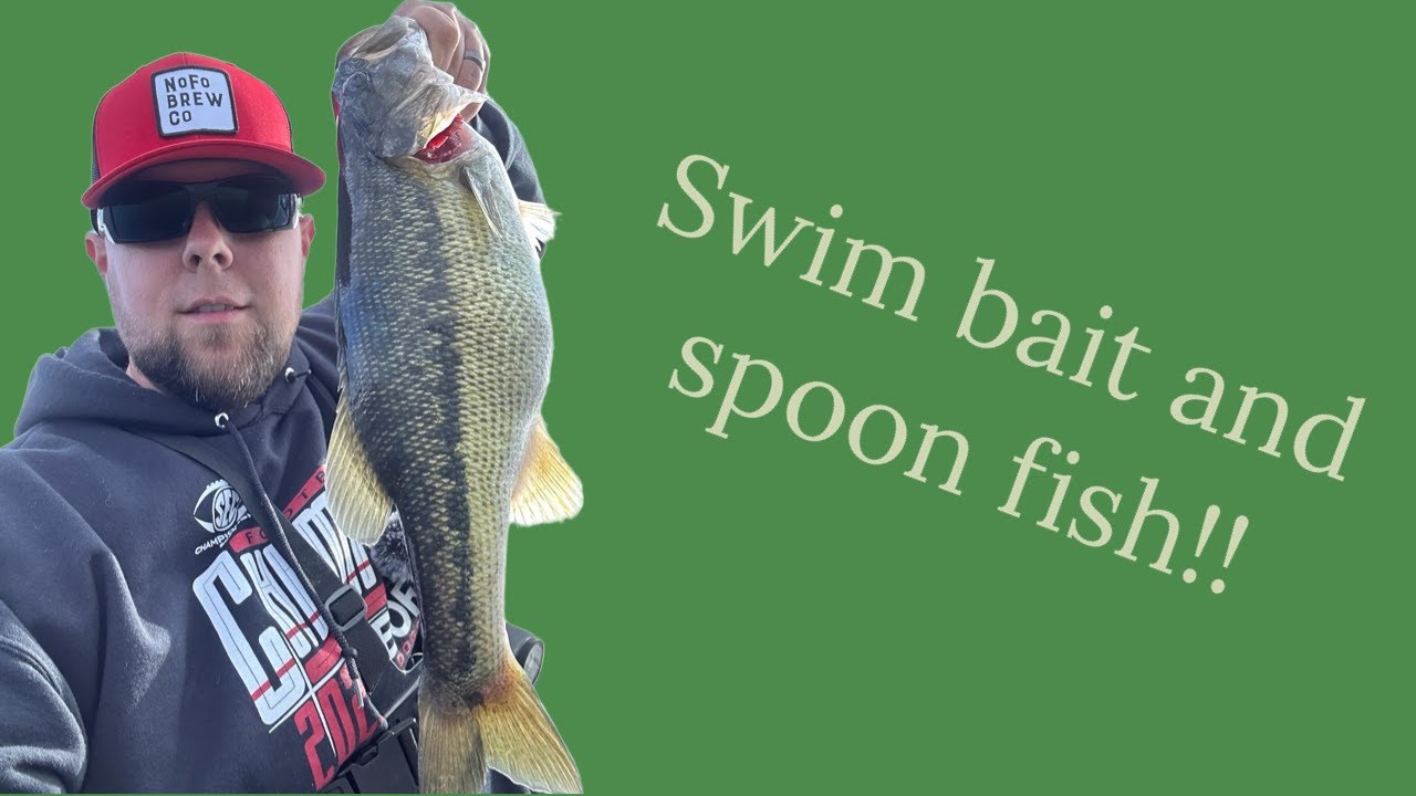 Swim bait and Spoon Fish – Lake Lanier