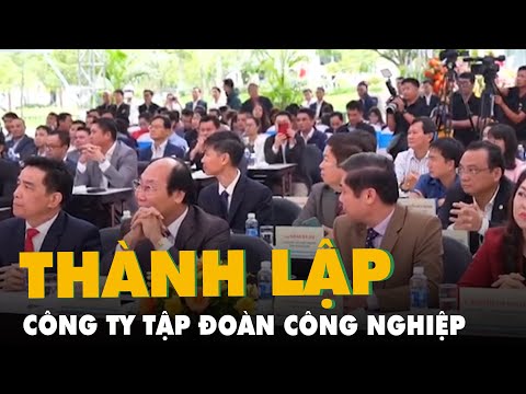 Video Thành lập Công ty Tập đoàn Công nghiệp Trường Hải với... - youtube