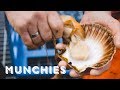 The munchies guide to norway part 1
