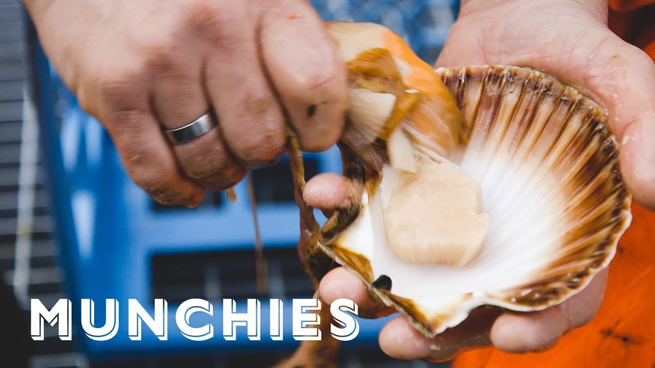 The MUNCHIES Guide to Norway (Part 1) | Munchies