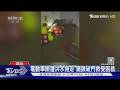 湖北荊州暴雨破紀錄 嚴重內澇 洪水淹至一樓｜TVBS新聞 @TVBSNEWS02