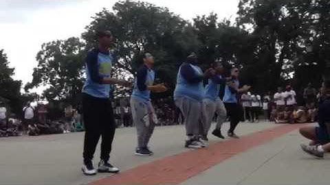 Gamma Sigma Zeta Fraternity Inc - New York Greek Picnic stroll competition Round 1
