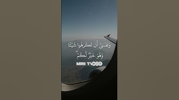 ماهر المعيقلي - سورة البقرة ( برواية حفص عن عاصم ) الأية 216