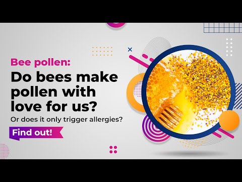 Bee pollen: Do bees make pollen with love for us? Or does it only trigger allergies? Find