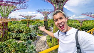 Is this what FORESTS will look like in the FUTURE? | Singapore 🇸🇬