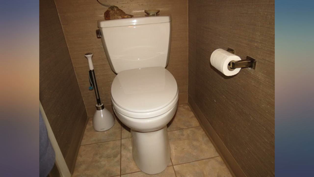 simplehuman Toilet Plunger and Caddy, Stainless Steel, White review