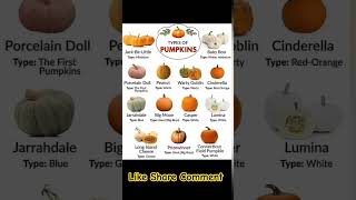Different types of pumpkin #shorts #differenttypes #pumpkin #ytsho #knowledge #information @english