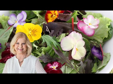 Edible Flowers You Can Grow x Eat